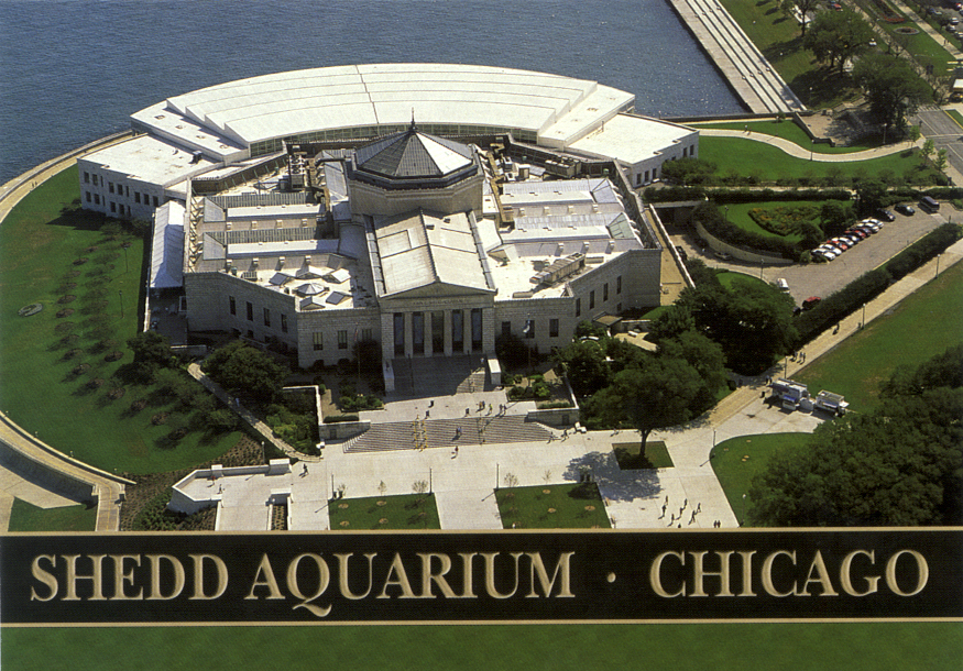 Redefining the Face Of Beauty TOP 5 AQUARIUMS IN AMERICA!