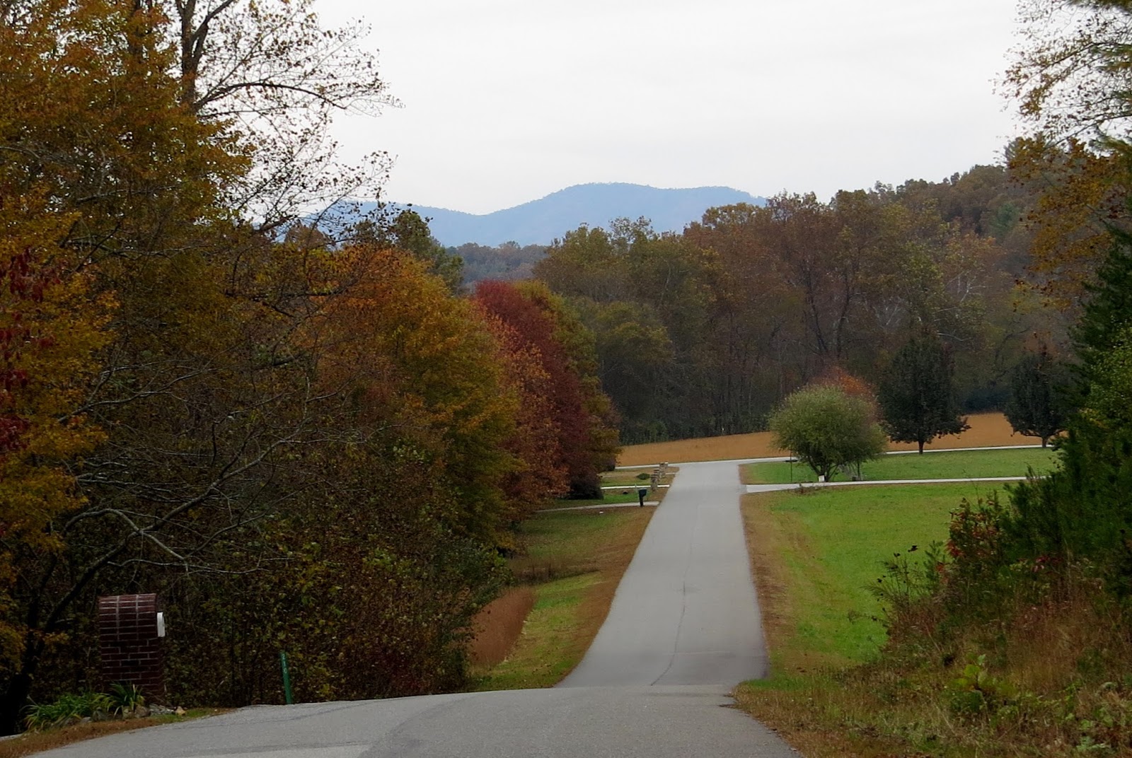 Rv Lot for Rent in Blairsville,