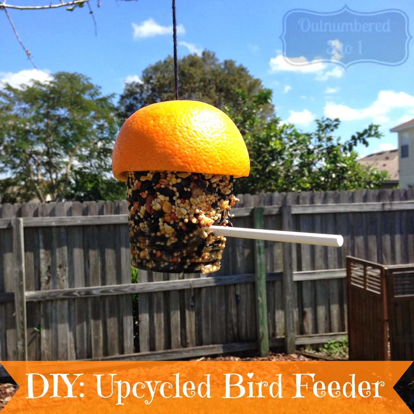 DIY Upcycled Bird Feeder Outnumbered 3 to 1