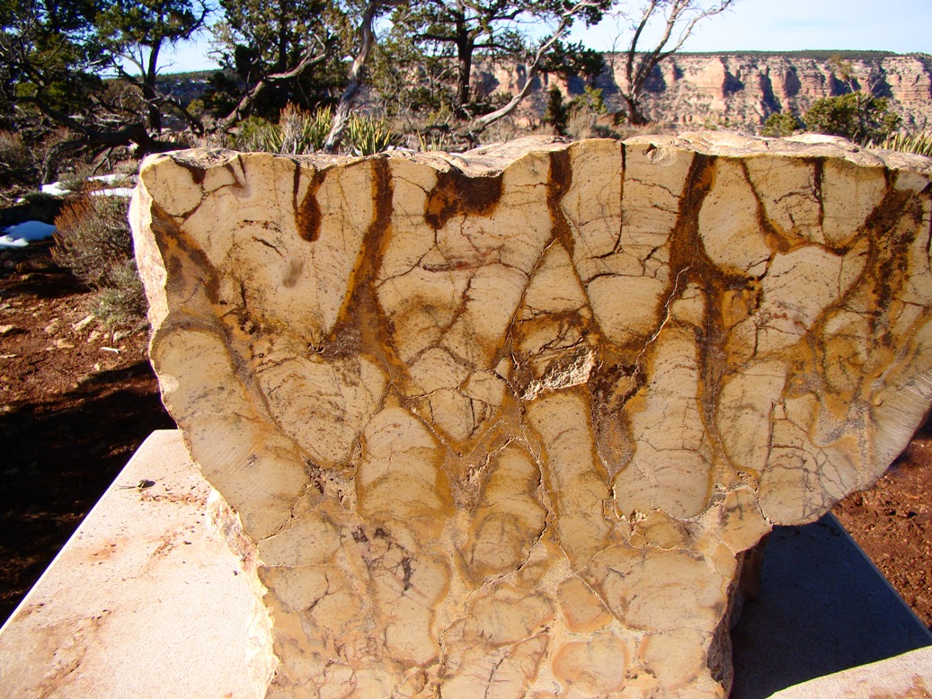 Geotripper The Abandoned Lands...A Journey Through the Colorado