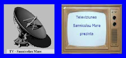 Televiziunea Sannicolau Mare