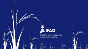 IFAD - ONU