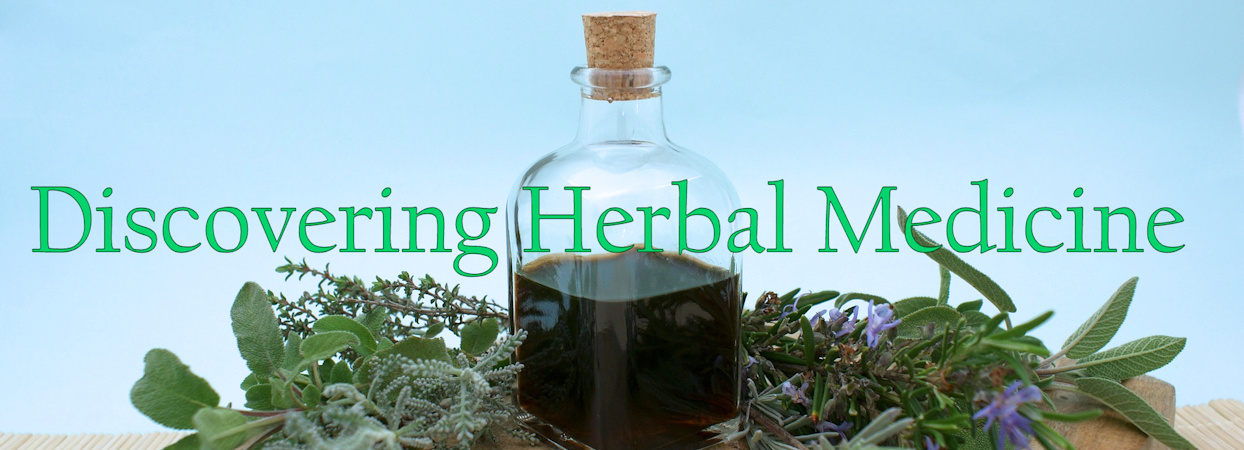 Discovering Herbal Medicine