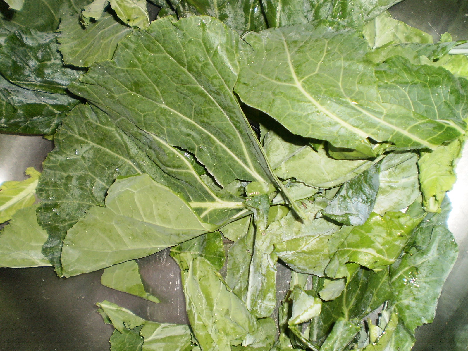 Spatulas On Parade Collards 101