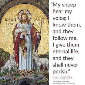 Sheeps NOT wolves in a sheep clothing, always hears and follow godly and loving shepherds.