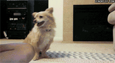 funny-gifs-high-five-pal.gif