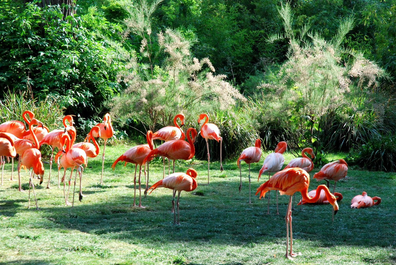 annonces bordeaux rencontres