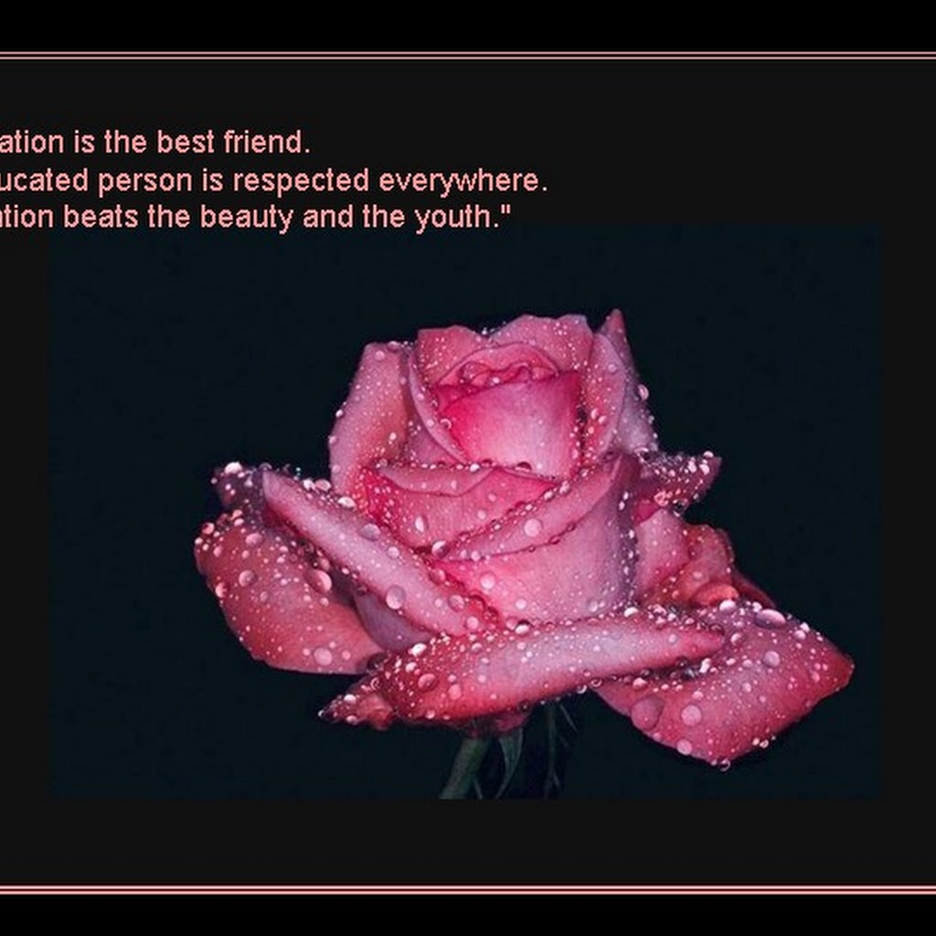 Most Beautiful Images Of Flowers With Quotes Most Beautiful Images Of Flowers With Quotes