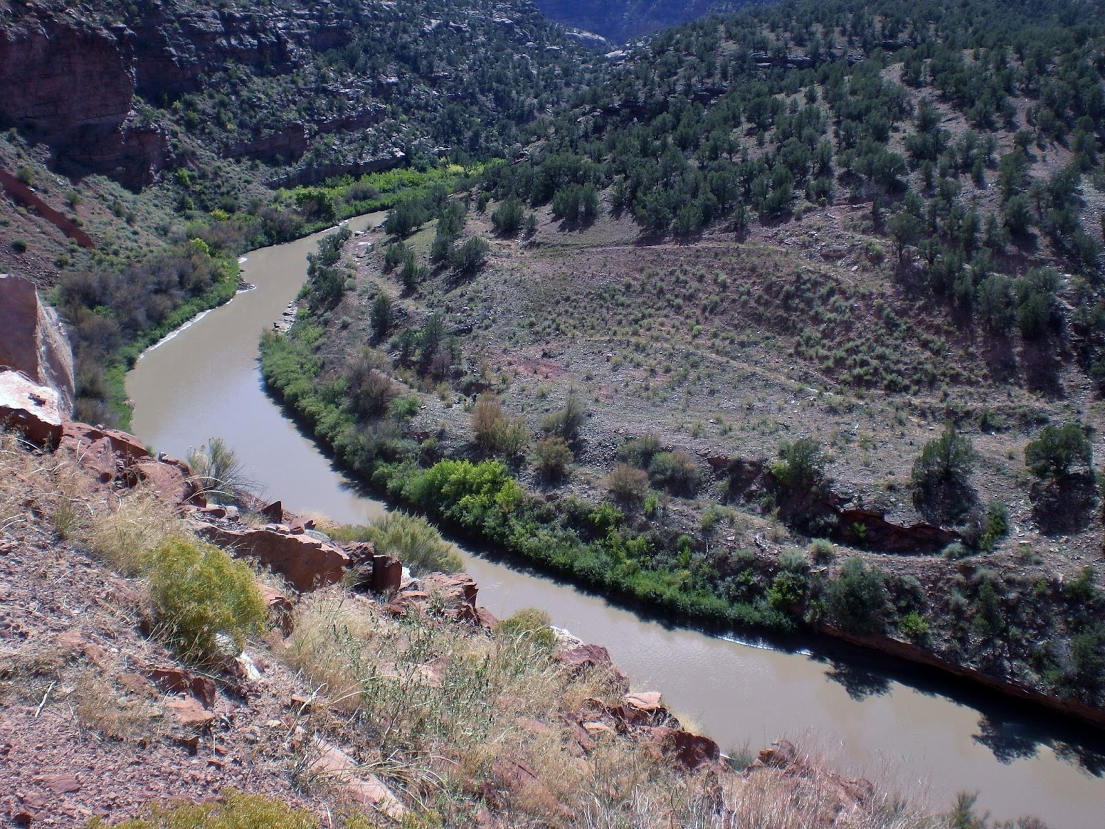 The Southwest Through Wide Brown Eyes Colorado's Route 141 Dove