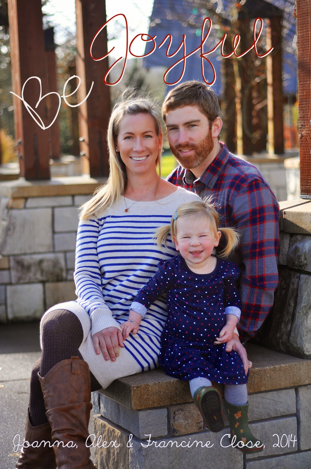 stuff jo knows christmas card happy holidays 2014 from the