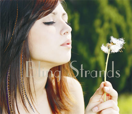 Hair Trend Feathers Beauty Blvd