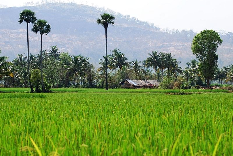 Nature Gives Us The Best Things In Life Nature Gives Us The Best Things In Life