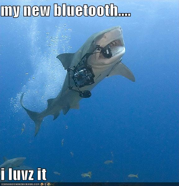 funny jaws pics