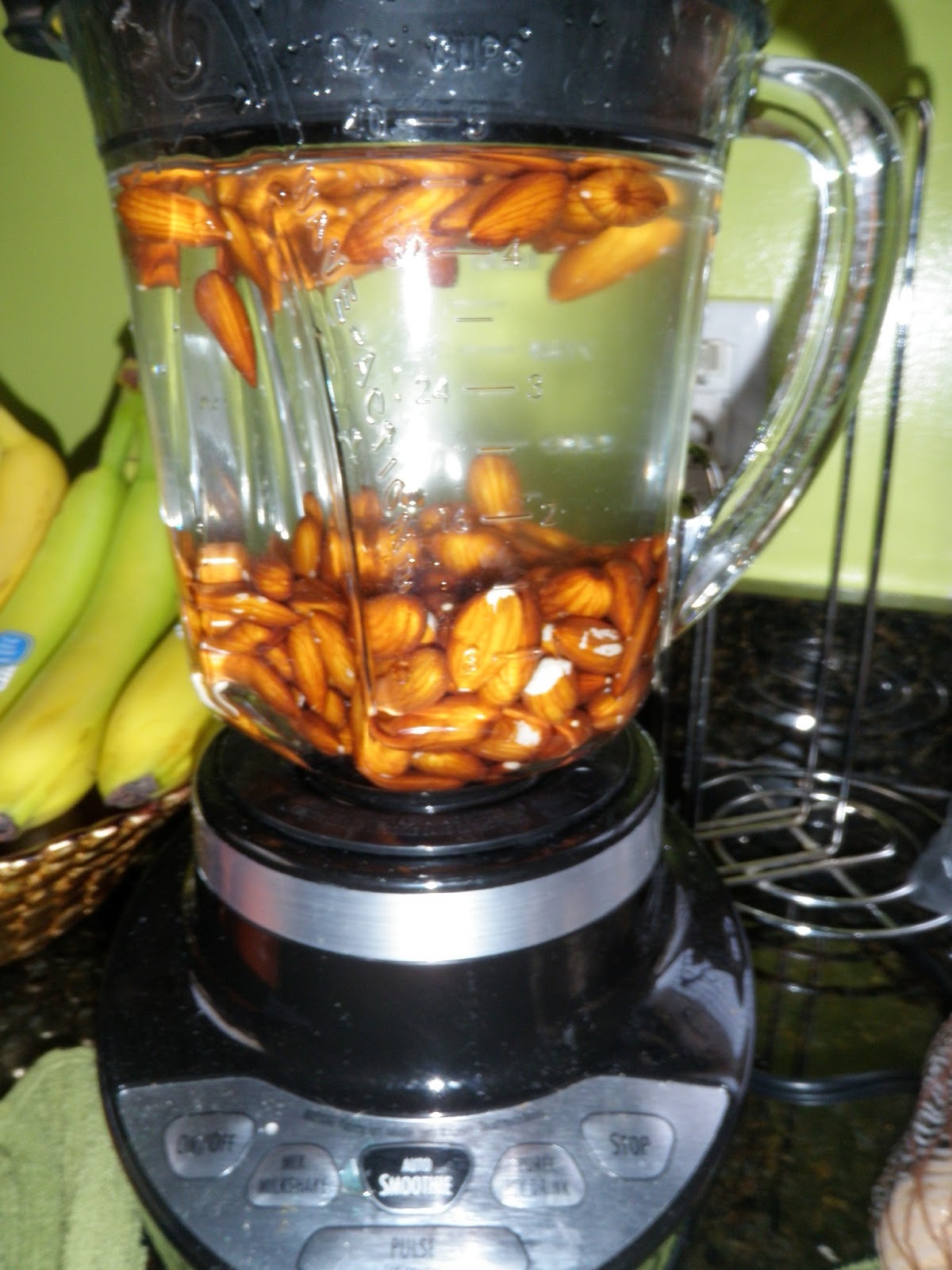 Green Dreams Detroit Adventures in {DIY Almond Milk}