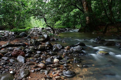 Tawau Car Rental at Tawau Hill Park