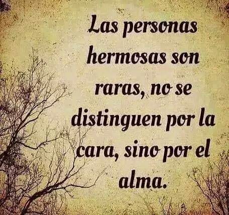 Imagen relacionada