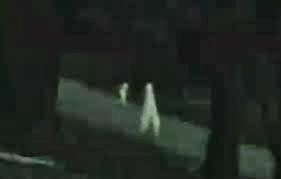 nightcrawlers alien creatures head