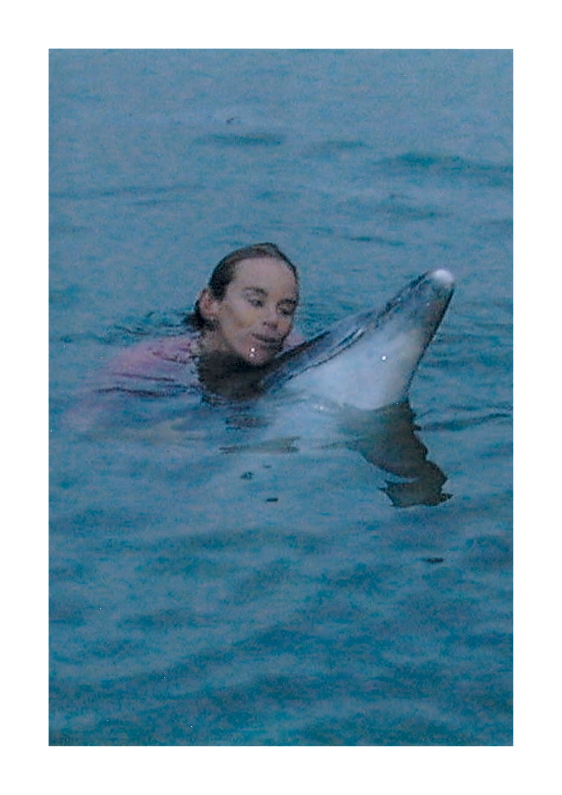 rencontre avec les dauphins moorea