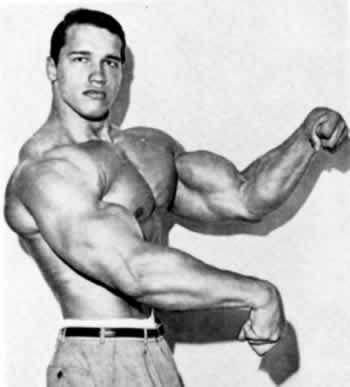 Steroids muscle building wiki