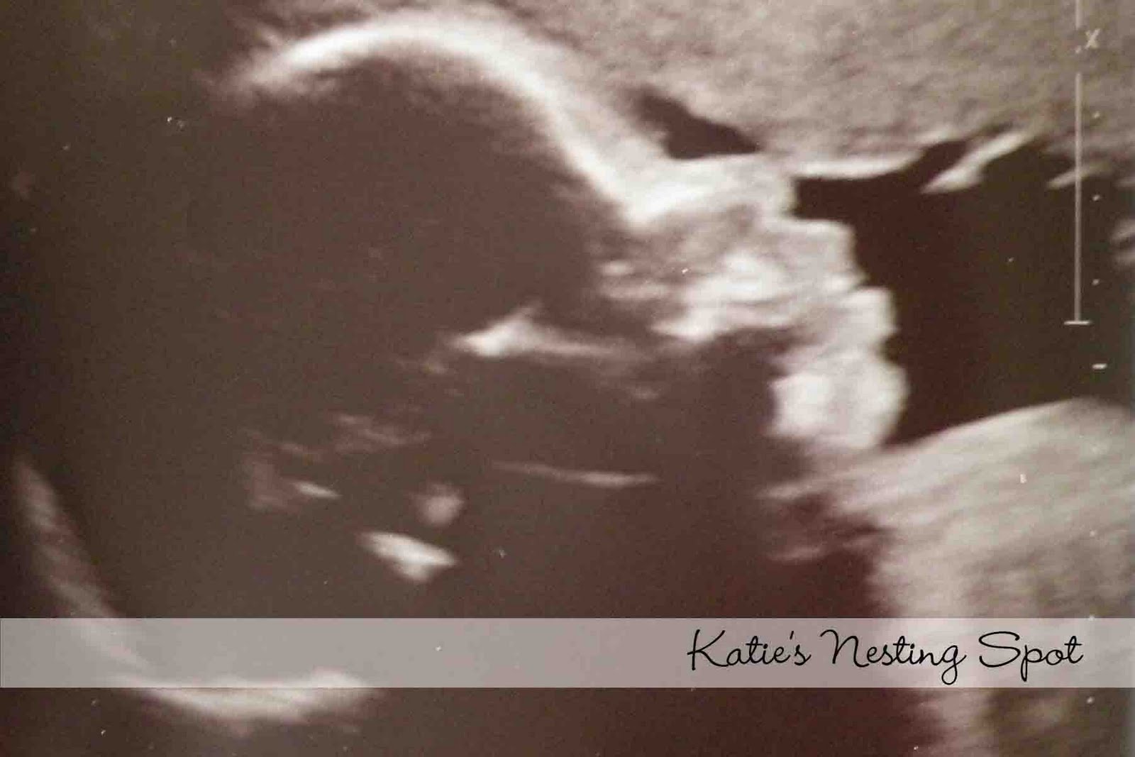 Katie's Nesting Spot 29 Weeks