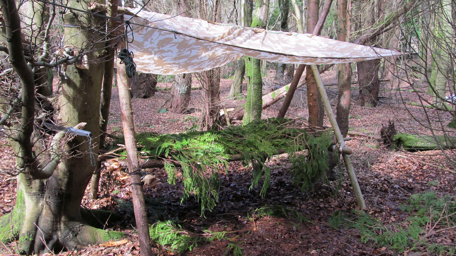 BUZZARD BUSHCRAFT 'A' Frame Shelter Raised Bed