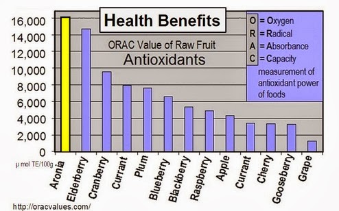 Community Health Federation