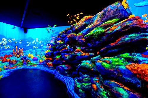 Hamburg Mit Kindern Gut Karlshohe Lari Lara Eine Mama Macht