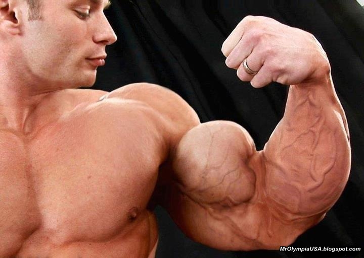 Biggest Biceps