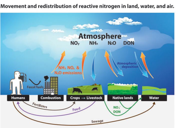 Ideas, Inventions And Innovations New Report Reviews US Nitrogen