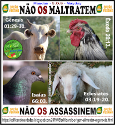 Não maltratem os animais e aves. Cliquem na imagem abaixo e veja.