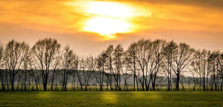 Eintagsliebe Liebeslyrik Liebesgedichte Liebespoesie 2014