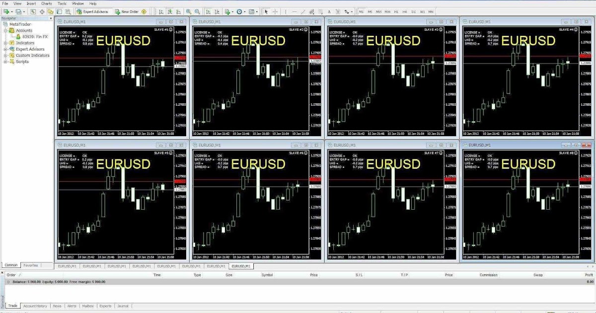 Forex expert advisor hedging scalper m5-h4 download