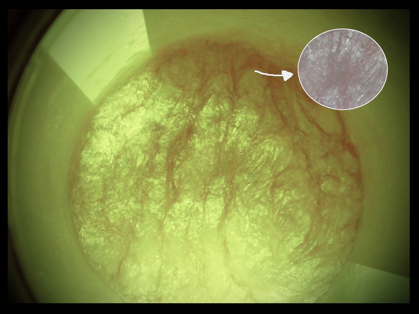 Oren-jji : Review: Watsons Hair Treatment Wax (Henna Extract)