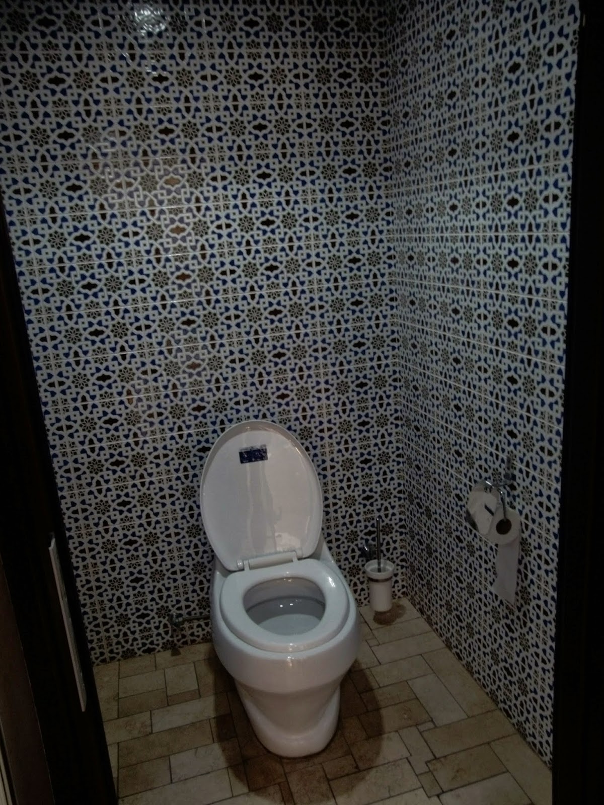 Rheumatologe Toilets in Central Asia