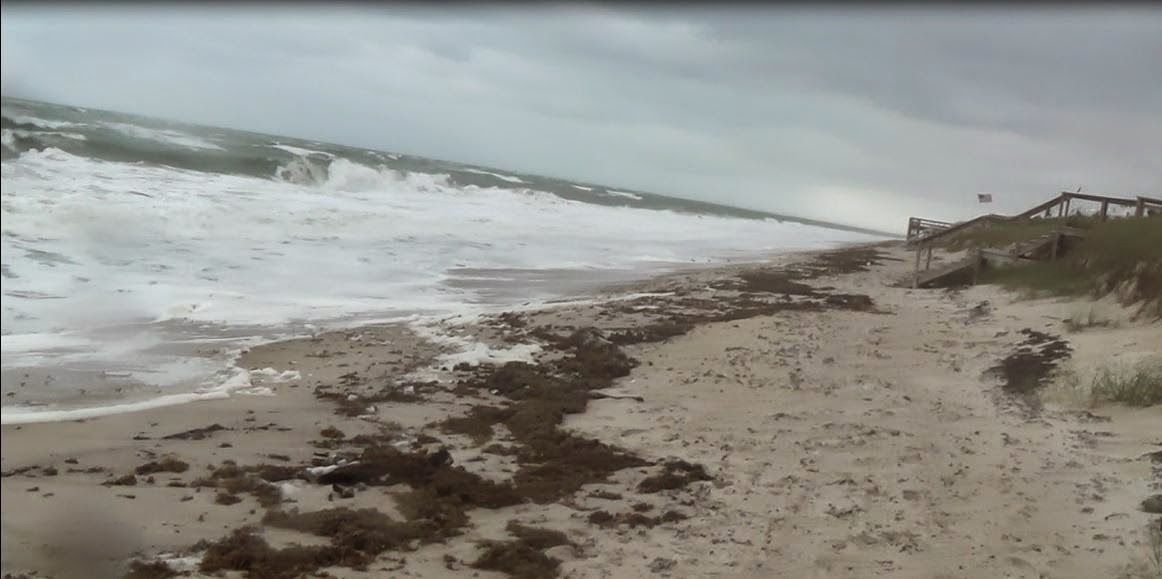 The Treasure Beaches Report Direct From Florida's Treasure Coast