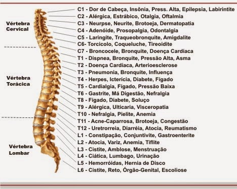 El tratamiento de la columna vertebral en surgute
