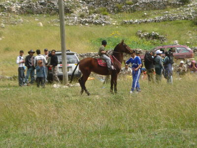 FESTIVIDADES DE TOMAS