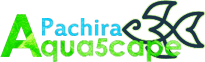 logo Pachira Aqua5cape