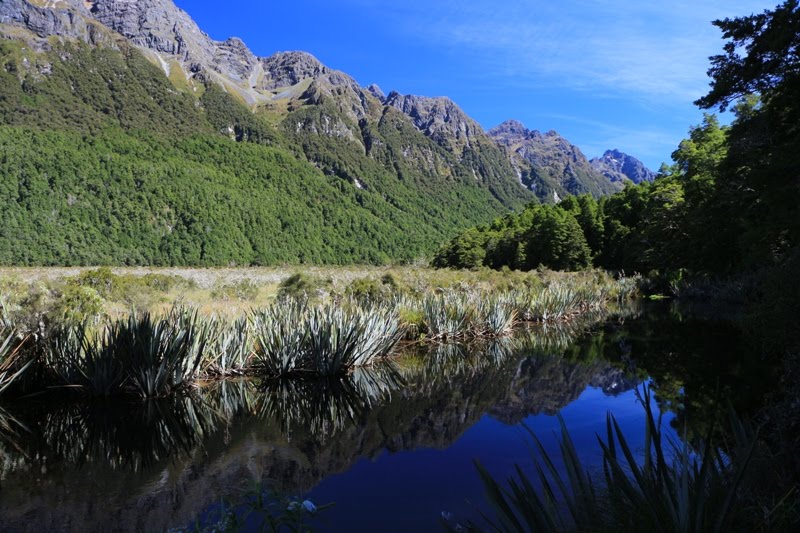 Fiordland National Park