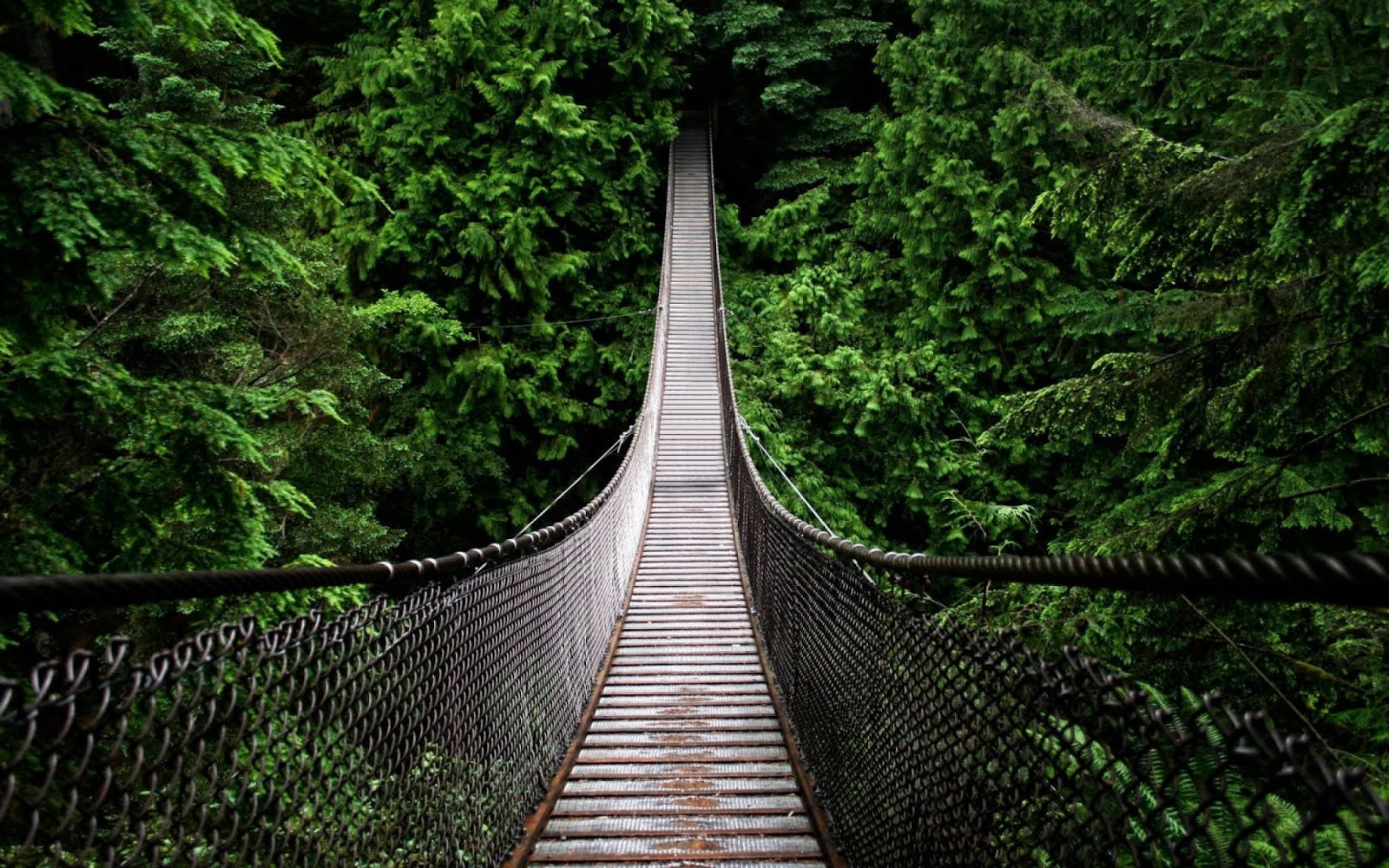 Puente colgante Pasar de victima a responsable