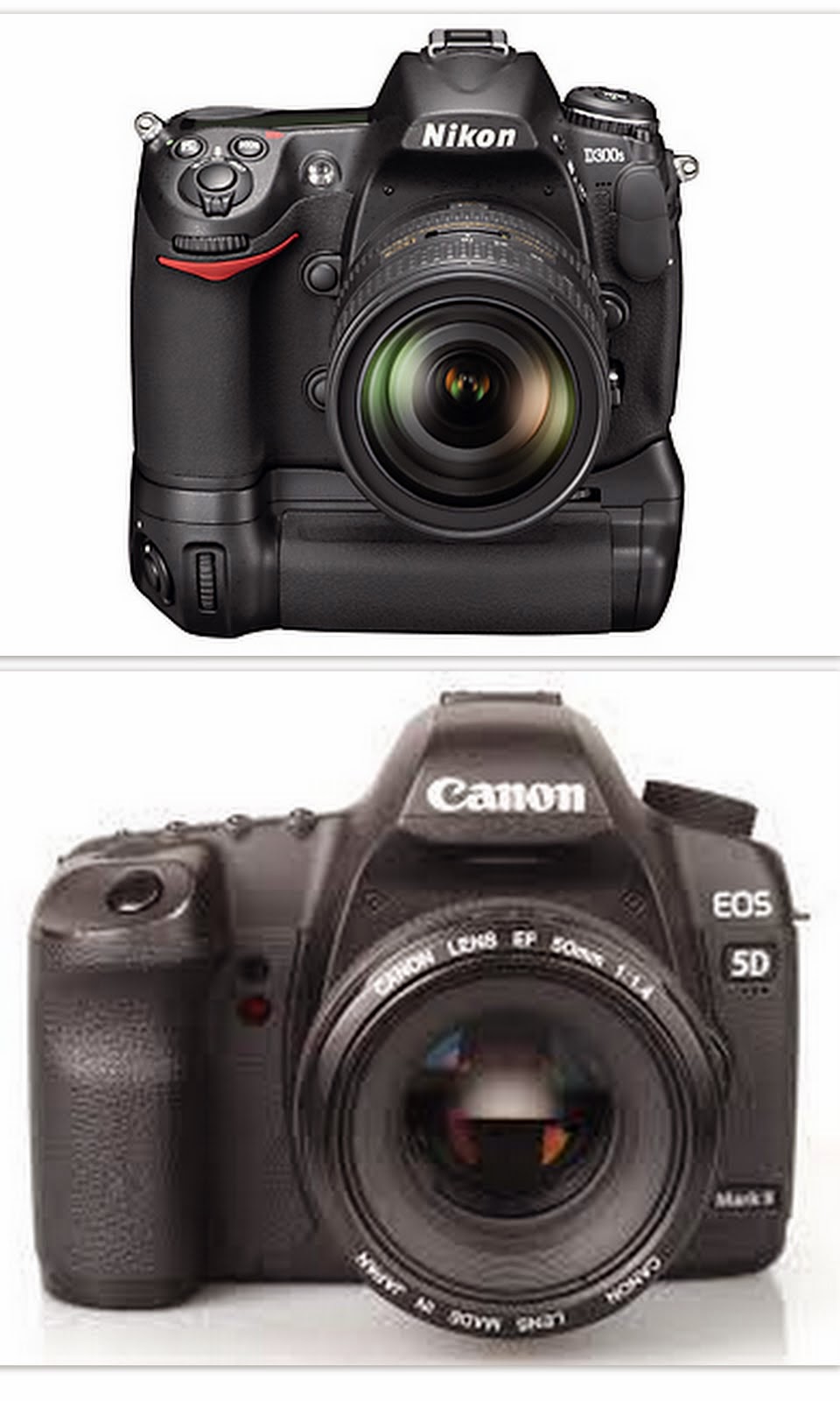 Gear N&F Photo Organizer ( Januari 2015) Nikon D300s n Canon 5D Mark II