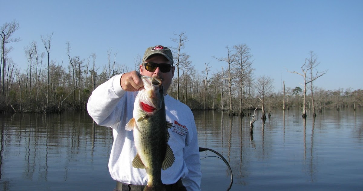 Backwateradventures Bass Fishing on the Outer Banks