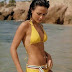 Jordan Brewster Hot Gallery | Jordan Brewster bikini pics
