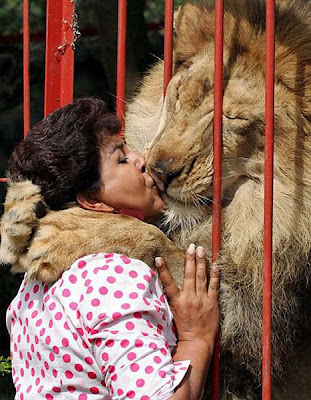 crazy lady kissing lion