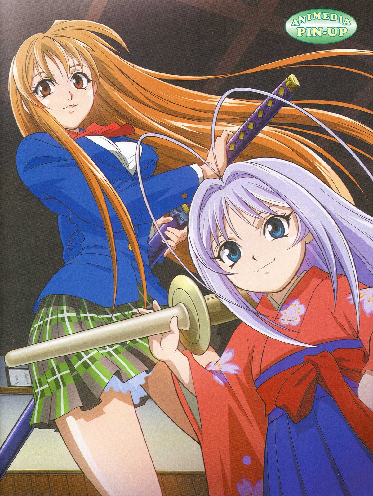 TENJOU TENGE - VALE A PENA ASSISTIR? 