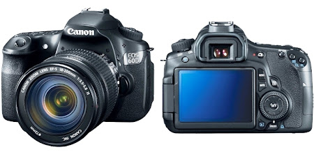 Canon EOS 60D. Camera Zone