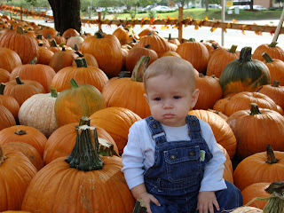 Pumpkin Patch Utah 2011