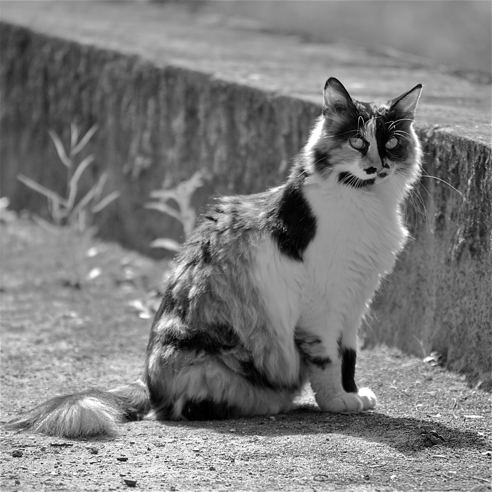 Welcome To My Weiglworld Dezember 2013