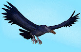 Argentavis magnificens