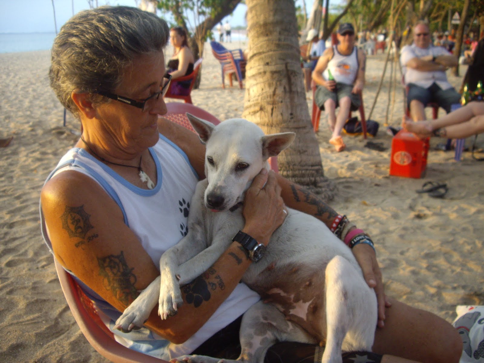 KRIS RITCHIE DOES DOG RESCUE WORK ON THE BEACH, AND FALLS IN LOVE WITH MANY OF THESE "ANJINGS."